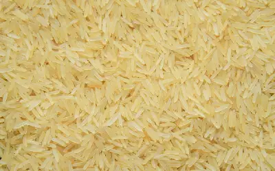 Sugandha