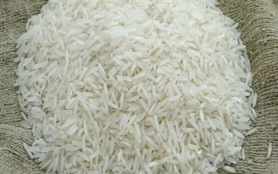 1121 Basmati